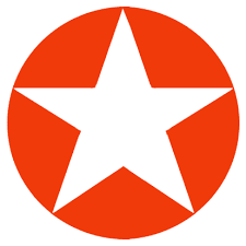 Afbeeldingsresultaat voor white star